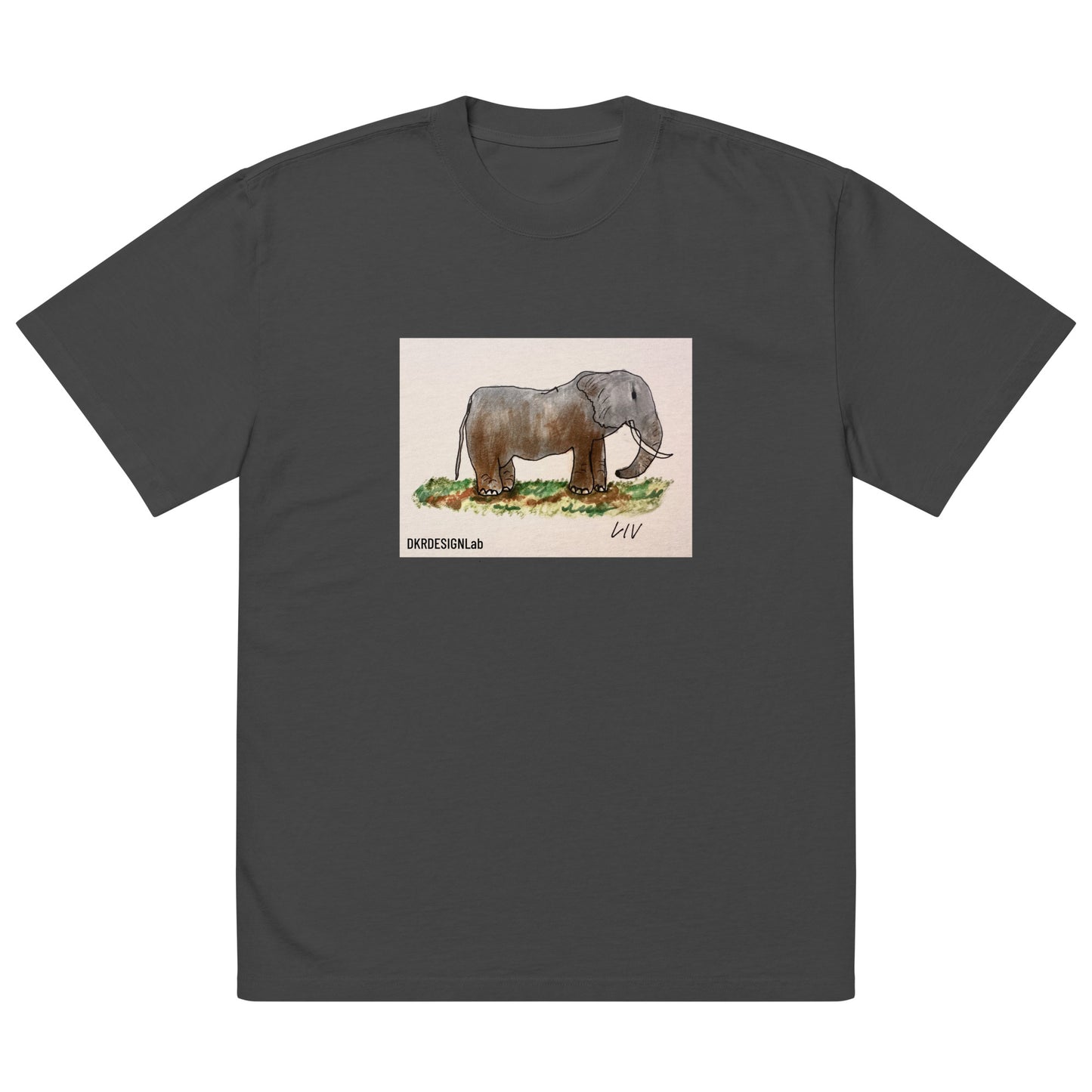 Rose the Elephant Oversized faded t-shirt