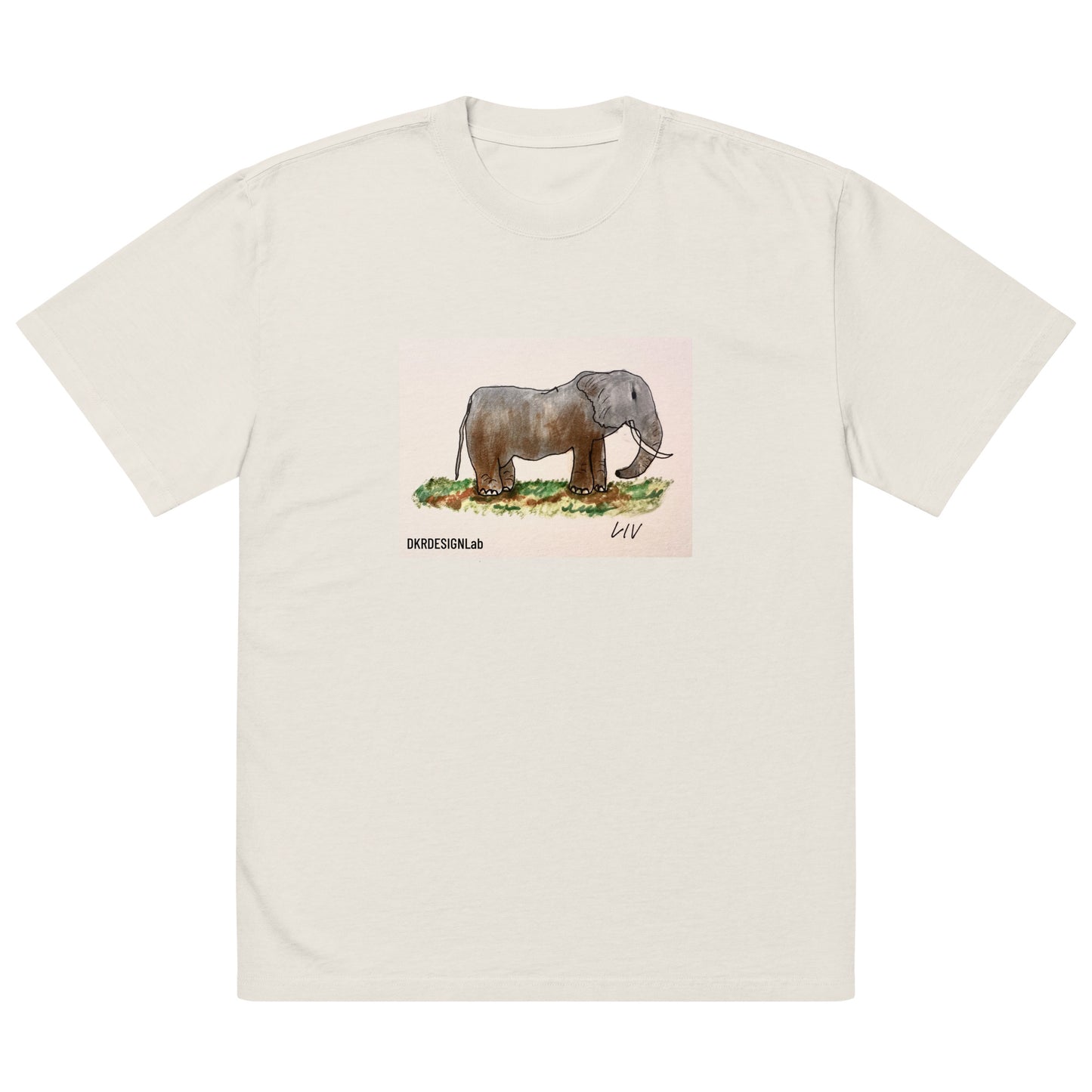 Rose the Elephant Oversized faded t-shirt