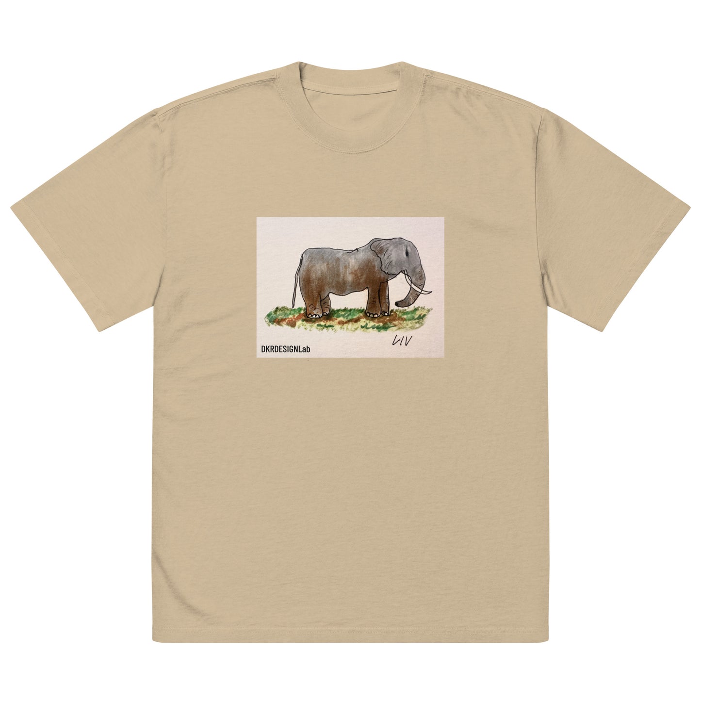 Rose the Elephant Oversized faded t-shirt