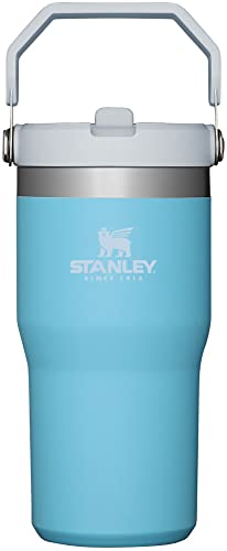 Stanley IceFlow Stainless Steel Tumbler with Straw - Vacuum Insulated Water Bottle 20oz