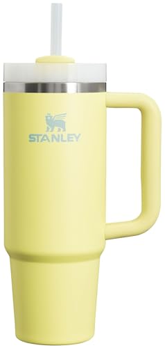 Stanley Quencher H2.0 FlowState Stainless Steel Vacuum Insulated Tumbler with Lid and Straw for Water