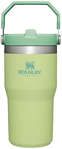 Stanley IceFlow Stainless Steel Tumbler - Vacuum Insulated Water Bottle 20OZ