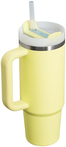 Stanley Quencher H2.0 FlowState Stainless Steel Vacuum Insulated Tumbler with Lid and Straw for Water