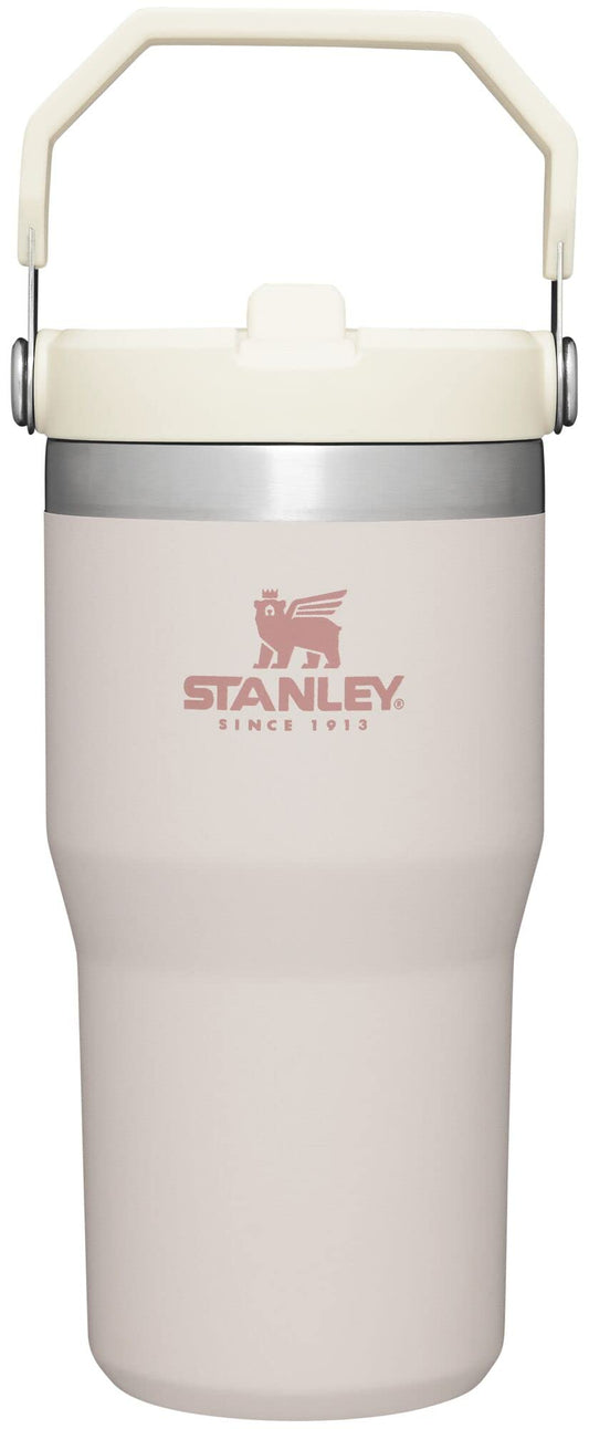 Stanley IceFlow Stainless Steel Tumbler with Straw - Vacuum Insulated Water Bottle 20oz